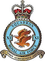 150px-11_Squadron_RAF.jpg
